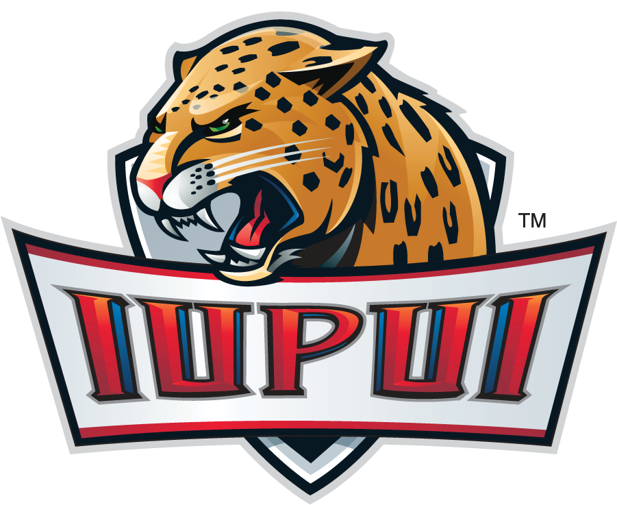 IUPUI Jaguars 2007-2017 Alternate Logo v2 diy DTF decal sticker